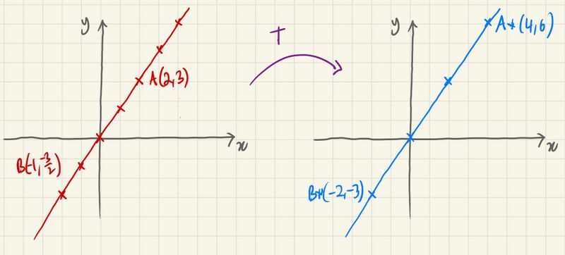 File:Invariant Line.jpg